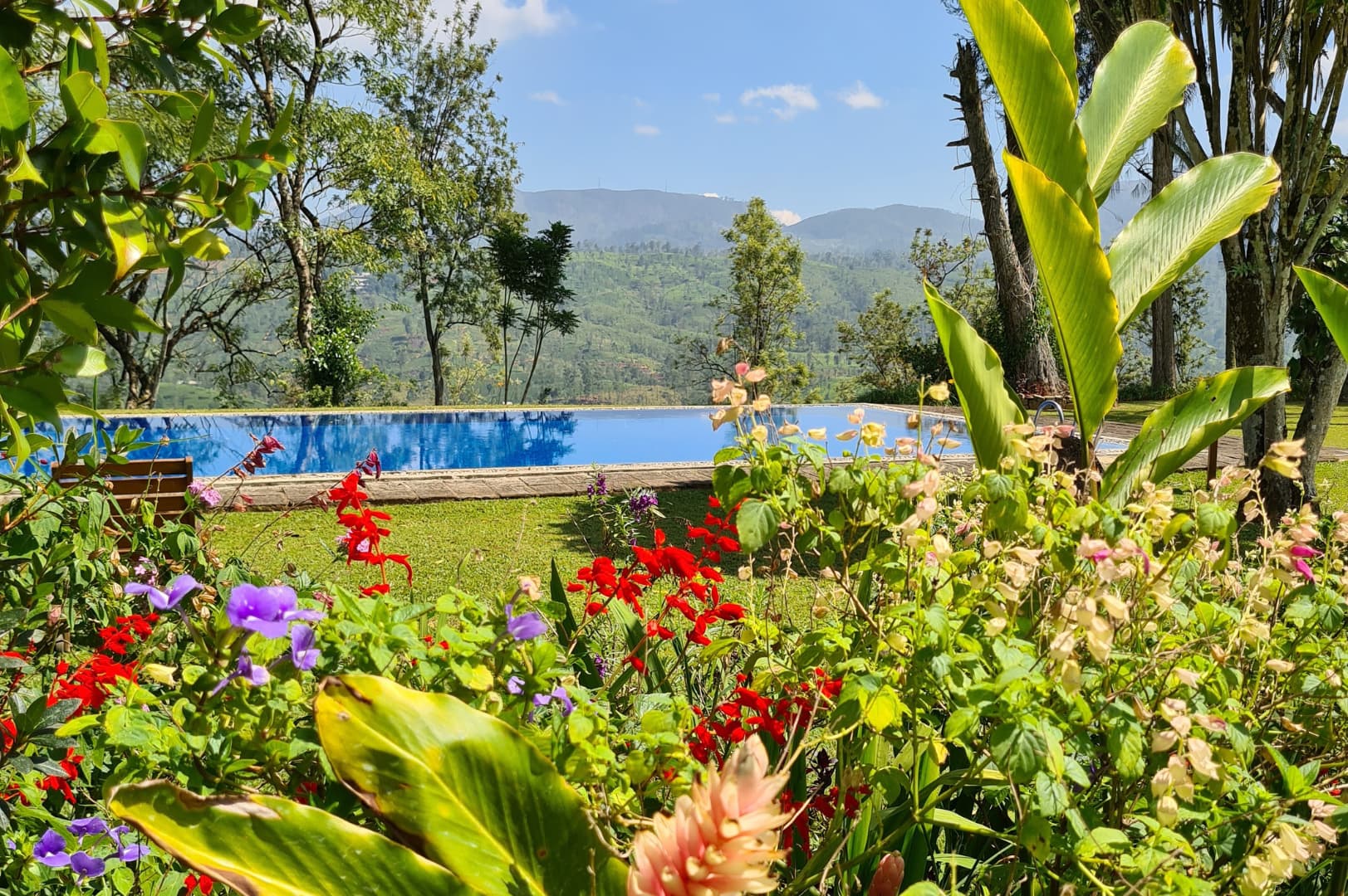 Best Employee of the Year