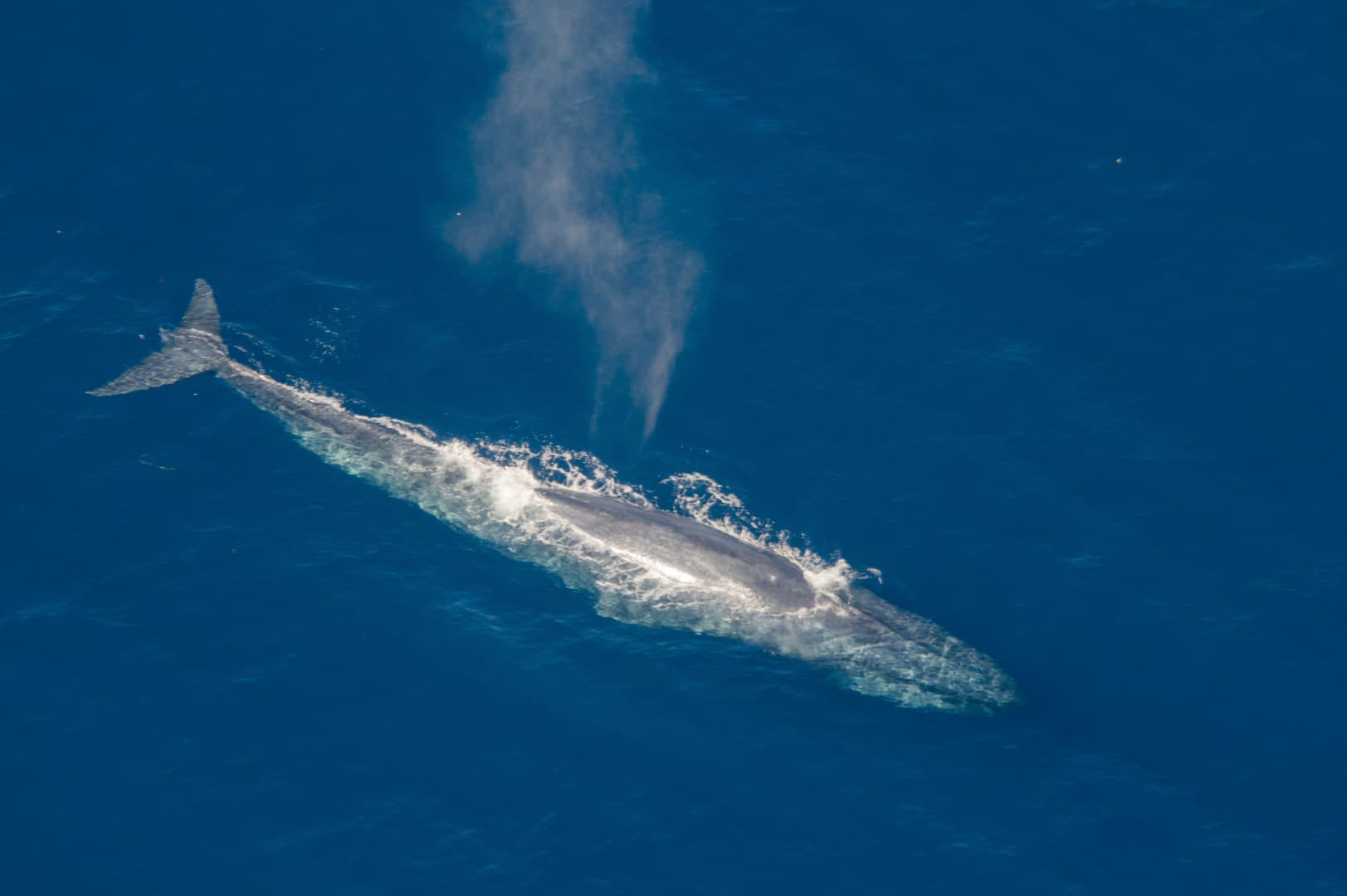 Weather Considerations