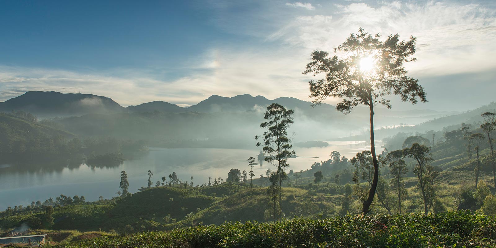 heartland of ceylon tea