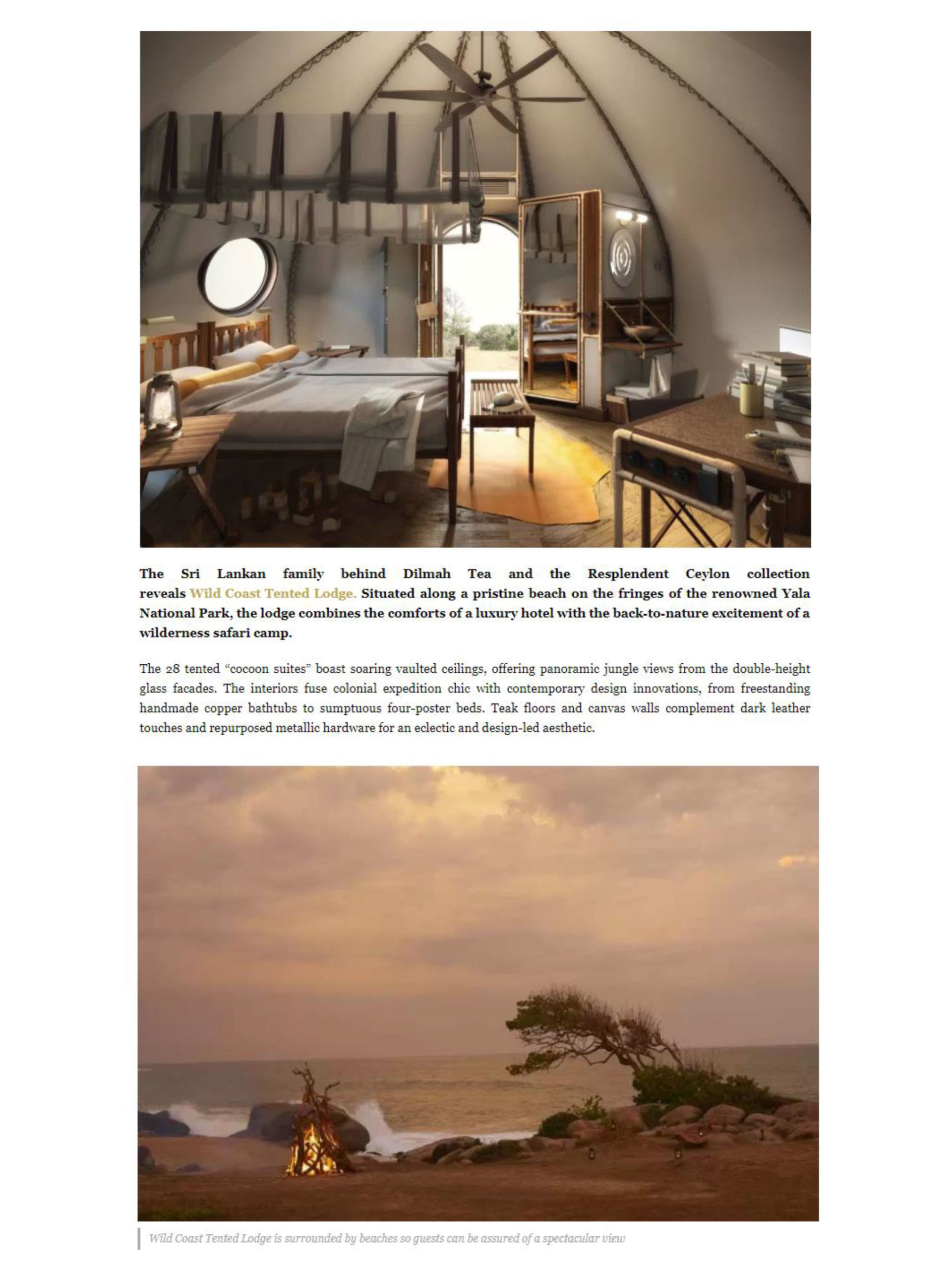 hedonistonlineresplendentceylon2scaled