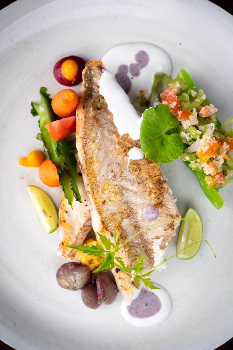 Ayurveda Wellness Menu