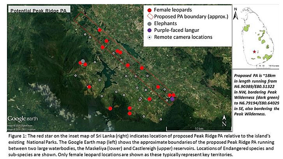Leopard and Biodiversity