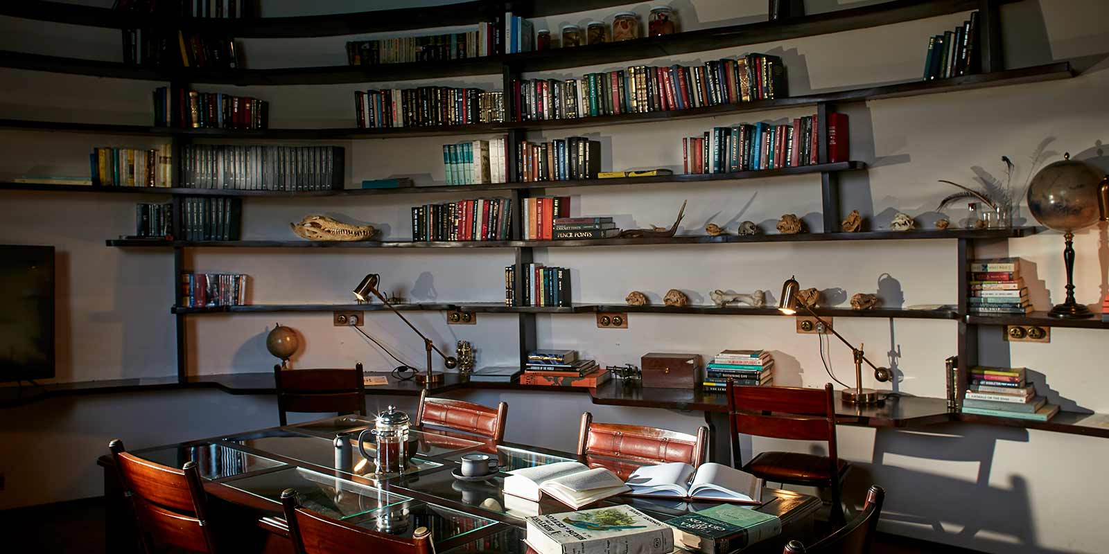 Library-Gallery-1600×800.1-jpg