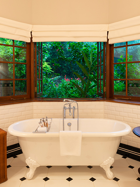 Luxury-room-bathtub-desk-480X640