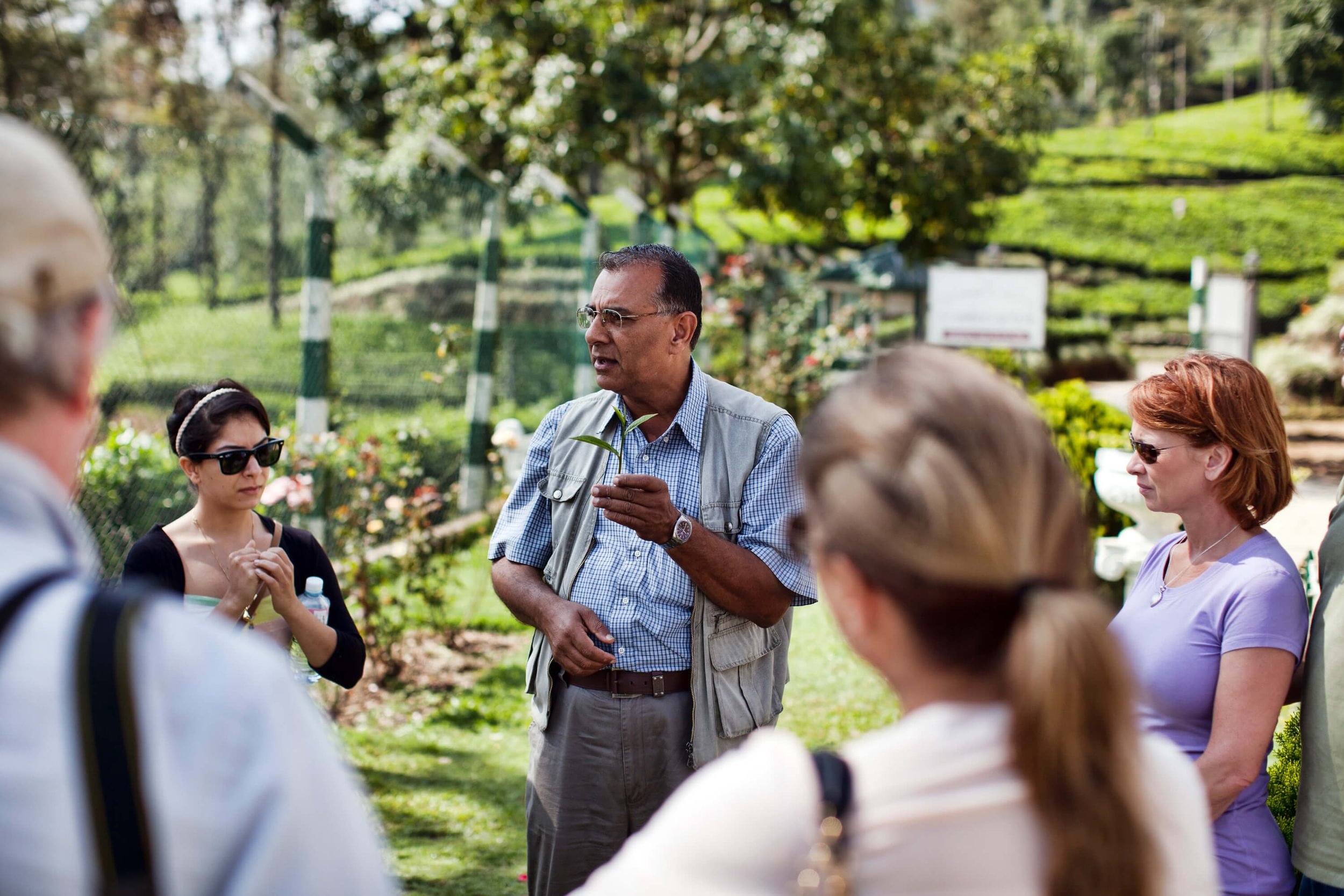 Tea Trails low res – Large (2)