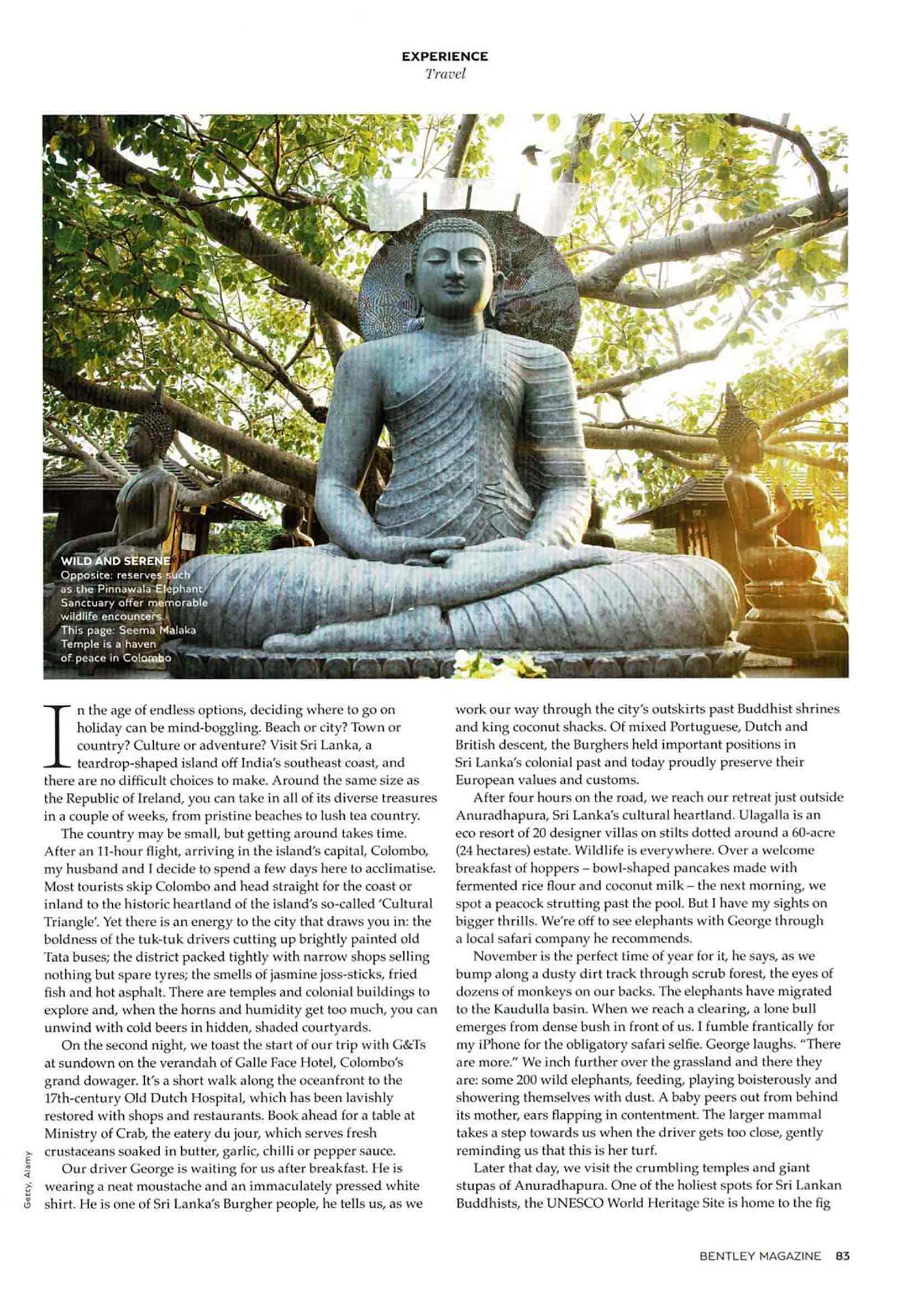 Temples Trunks And Tranquility 