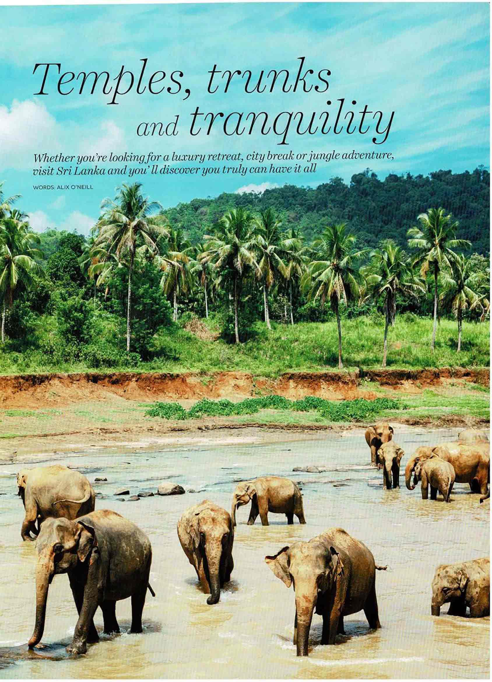 Temples Trunks And Tranquility